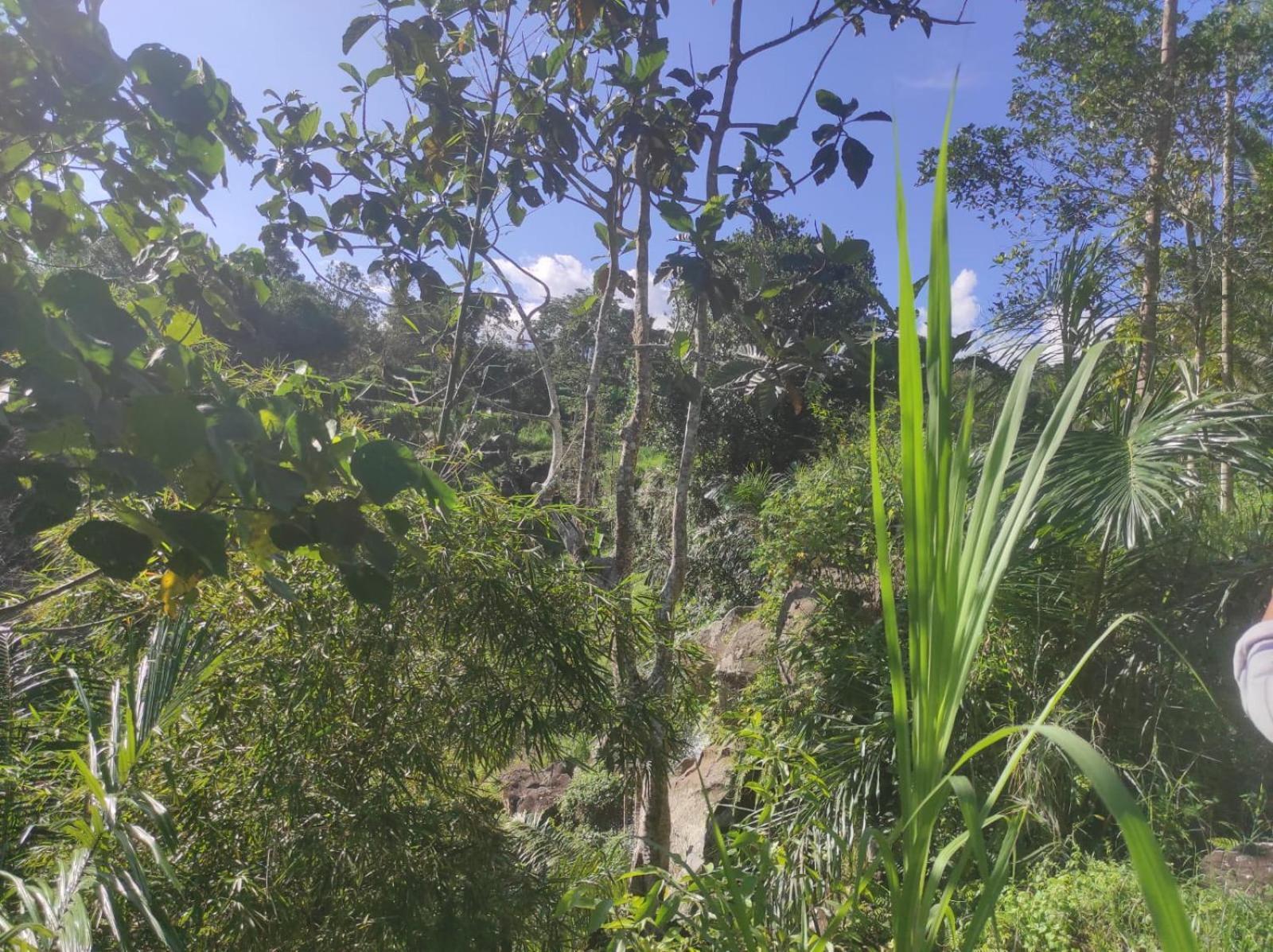 Nan Bungalows Tetebatu Exteriör bild