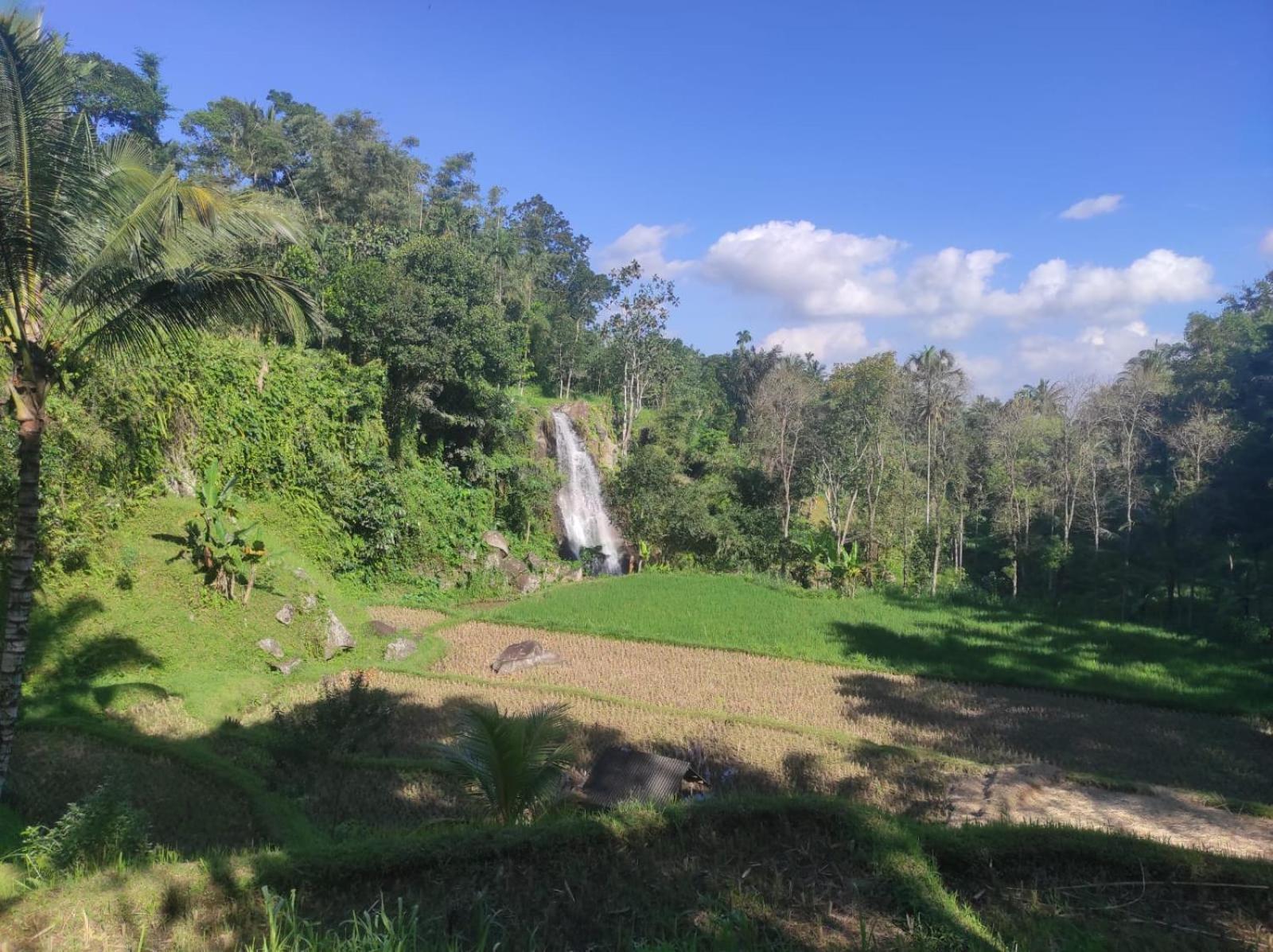 Nan Bungalows Tetebatu Exteriör bild