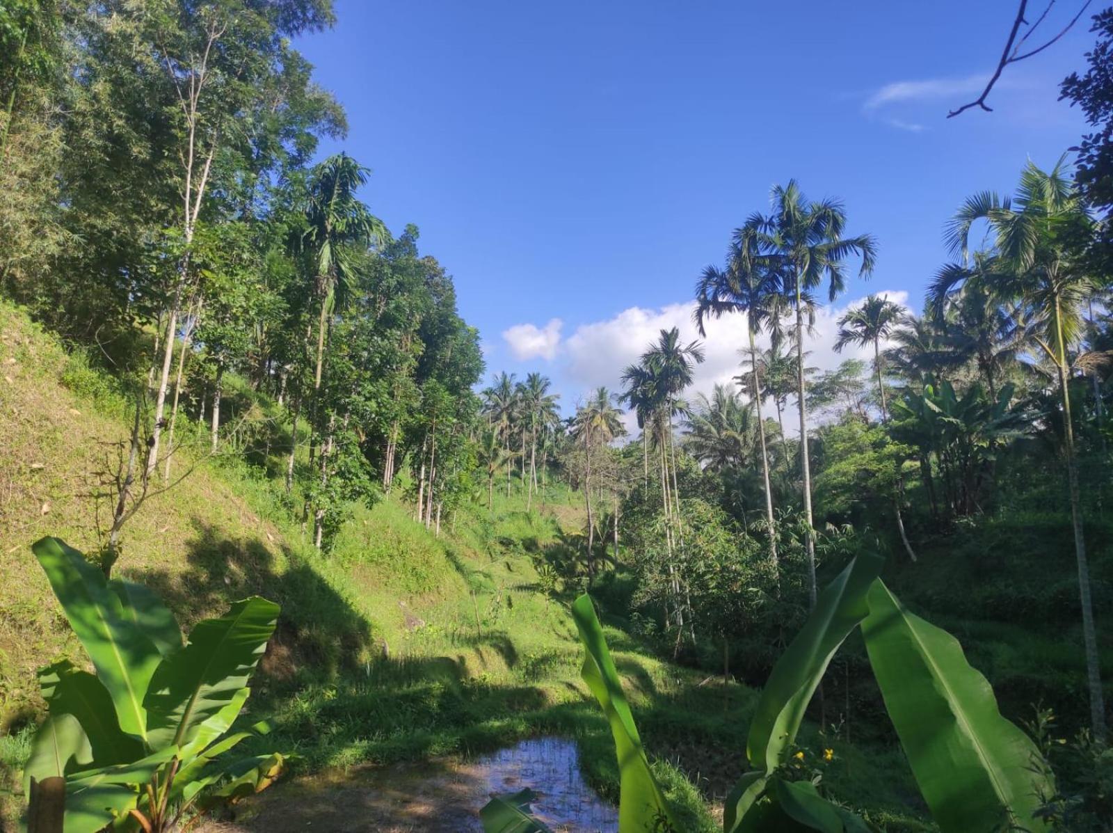 Nan Bungalows Tetebatu Exteriör bild