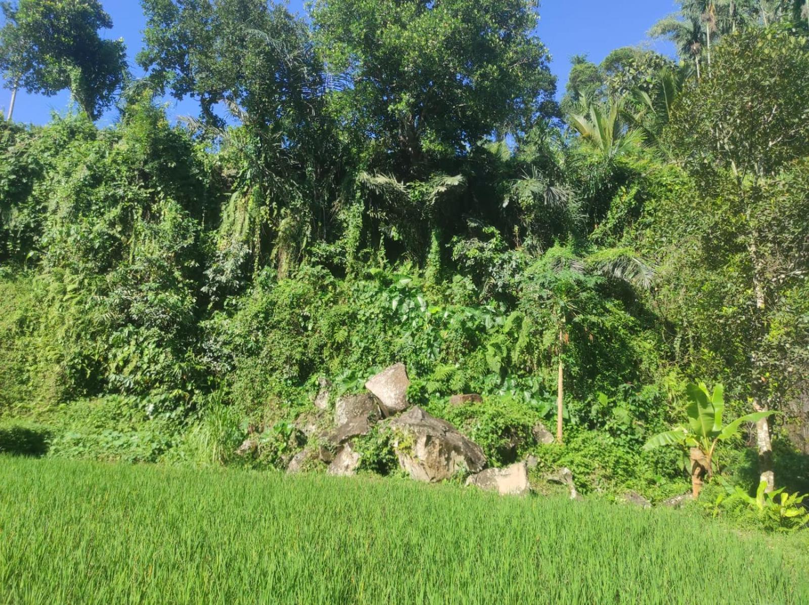 Nan Bungalows Tetebatu Exteriör bild